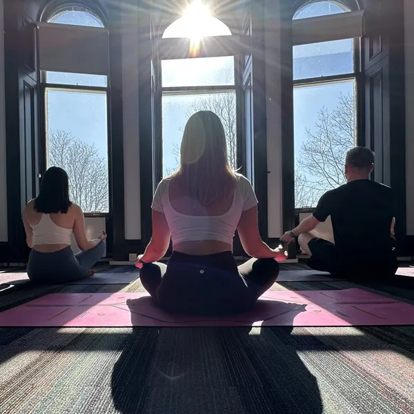 Serene mindfulness and peaceful restorative wellness